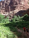 IMG_2042