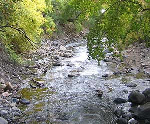 American Fork River