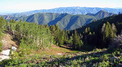 Bowman Trail, Mill Creek Canyon