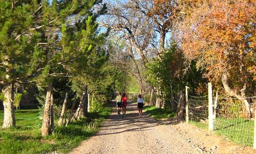 Red Mountain 50K