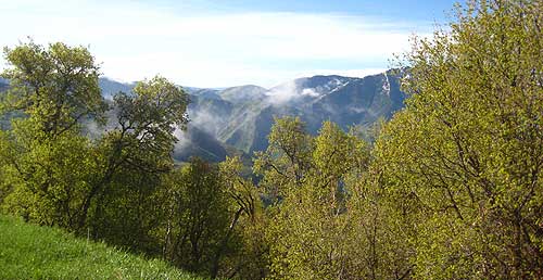 Hobble Creek Canyon