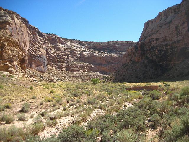IMG_6194.JPG