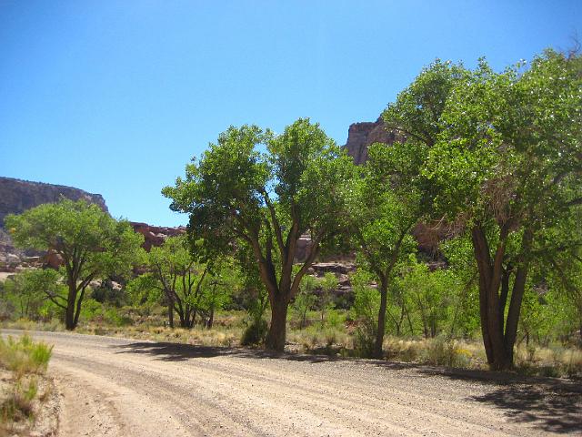IMG_6246.JPG