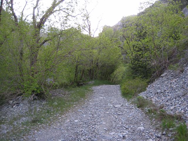 IMG_5995.JPG