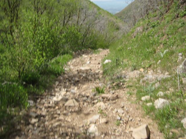 IMG_6078.JPG