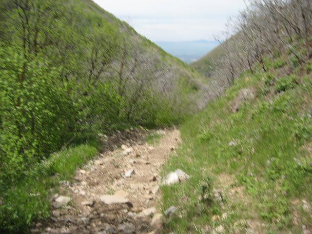 IMG_6079.JPG