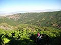 IMG_0053